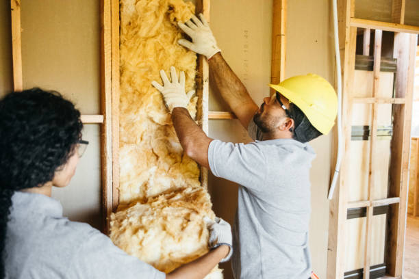 Professional Insulation Contractor in Pelham, AL